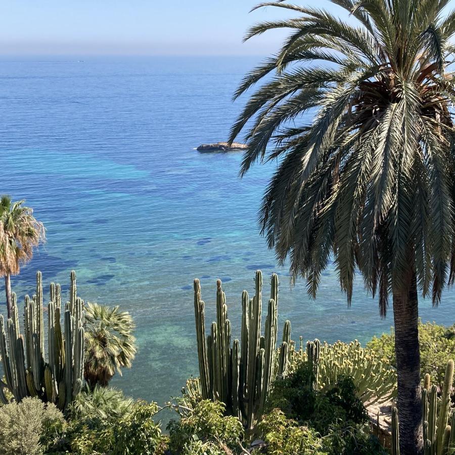 El Jardin Botanico Villa Luz Altea Exterior foto